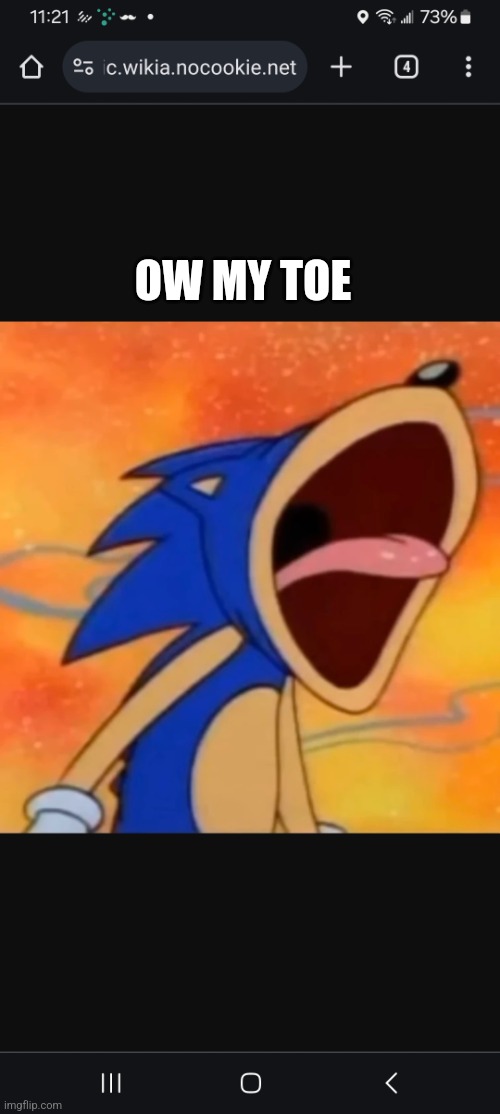 Screaming sonic | OW MY TOE | image tagged in screaming sonic | made w/ Imgflip meme maker