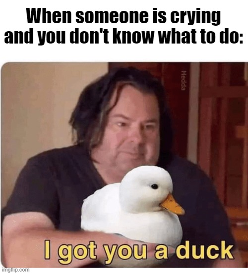 lol | When someone is crying and you don't know what to do: | image tagged in memes,funny,ducks | made w/ Imgflip meme maker