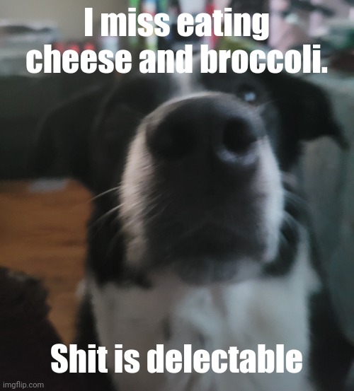 tweaks dock | I miss eating cheese and broccoli. Shit is delectable | image tagged in tweaks dock | made w/ Imgflip meme maker