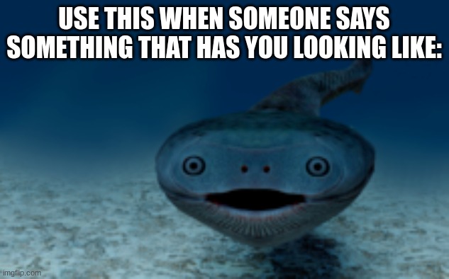 For "those" moments | USE THIS WHEN SOMEONE SAYS SOMETHING THAT HAS YOU LOOKING LIKE: | image tagged in sucabambaspis staring | made w/ Imgflip meme maker