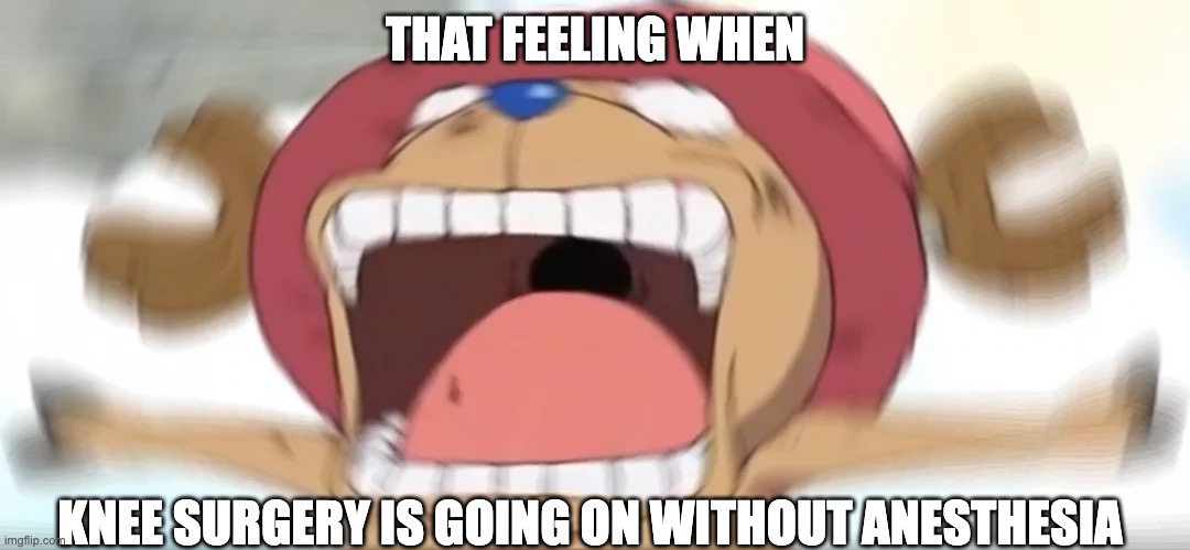 Chopper screaming | THAT FEELING WHEN; KNEE SURGERY IS GOING ON WITHOUT ANESTHESIA | image tagged in chopper screaming | made w/ Imgflip meme maker