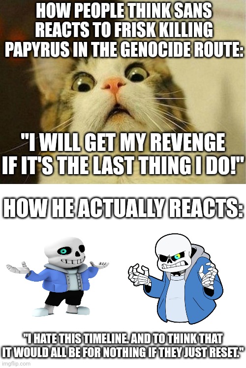 Oh no Papyrus! Anyway last week... | HOW PEOPLE THINK SANS REACTS TO FRISK KILLING PAPYRUS IN THE GENOCIDE ROUTE:; "I WILL GET MY REVENGE IF IT'S THE LAST THING I DO!"; HOW HE ACTUALLY REACTS:; "I HATE THIS TIMELINE. AND TO THINK THAT IT WOULD ALL BE FOR NOTHING IF THEY JUST RESET." | image tagged in memes,scared cat | made w/ Imgflip meme maker