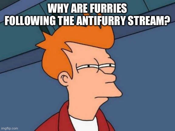 IM BACK | WHY ARE FURRIES FOLLOWING THE ANTIFURRY STREAM? | image tagged in memes,futurama fry,anti furry | made w/ Imgflip meme maker