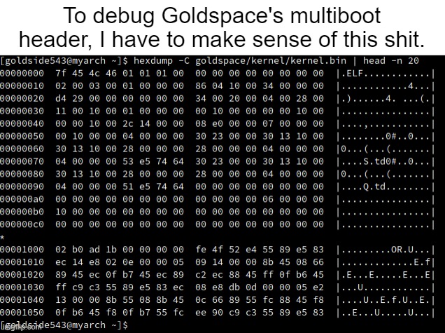 this won't be fun | To debug Goldspace's multiboot header, I have to make sense of this shit. | made w/ Imgflip meme maker