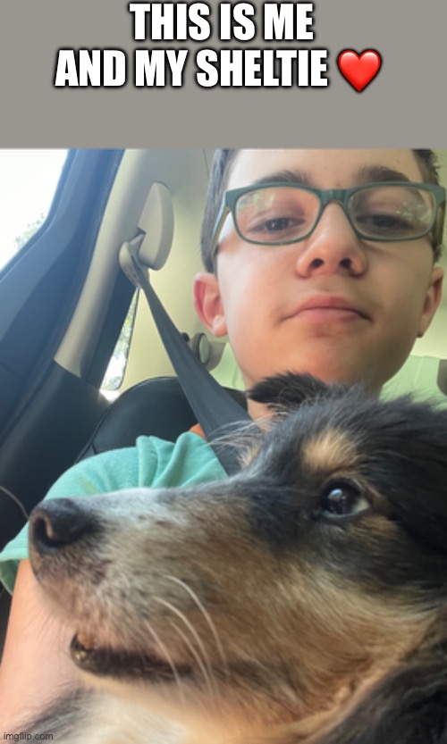 THIS IS ME AND MY SHELTIE ❤️ | image tagged in face reveal,dog | made w/ Imgflip meme maker