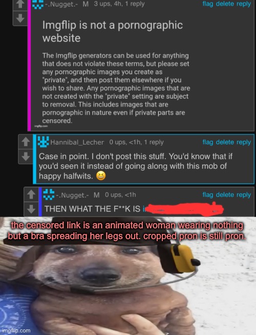 muy estupido | the censored link is an animated woman wearing nothing but a bra spreading her legs out. cropped pron is still pron. | image tagged in chucklenuts | made w/ Imgflip meme maker