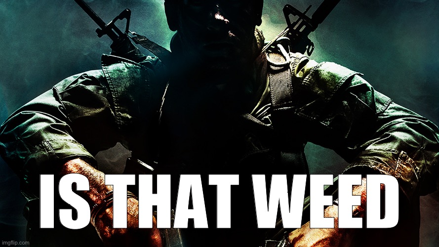 Black ops guy | IS THAT WEED | image tagged in black ops guy | made w/ Imgflip meme maker