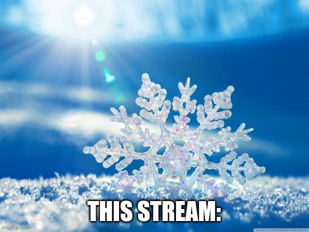 snowflake | THIS STREAM: | image tagged in snowflake | made w/ Imgflip meme maker