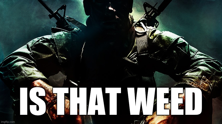 Black ops guy | IS THAT WEED | image tagged in black ops guy | made w/ Imgflip meme maker