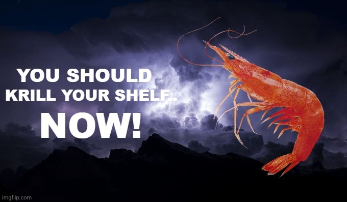 You should krill your shelf now | image tagged in you should krill your shelf now | made w/ Imgflip meme maker