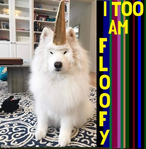 When you're Fluffy but Stoned, too | image tagged in vince vance,unicorn,dogs,fluffy,floofy,memes | made w/ Imgflip meme maker