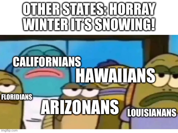 No snow :( | OTHER STATES: HORRAY WINTER IT’S SNOWING! CALIFORNIANS; HAWAIIANS; FLORIDIANS; ARIZONANS; LOUISIANANS | image tagged in snow,america,united states | made w/ Imgflip meme maker