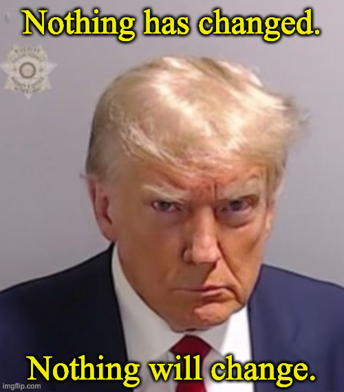 Donald Trump Mugshot | Nothing has changed. Nothing will change. | image tagged in donald trump mugshot | made w/ Imgflip meme maker