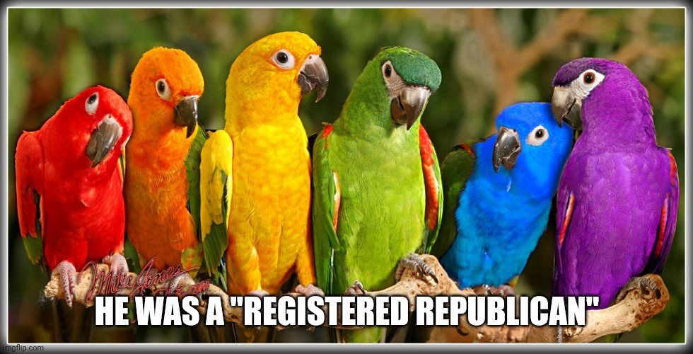 Rainbow parrots | HE WAS A "REGISTERED REPUBLICAN" | image tagged in rainbow parrots | made w/ Imgflip meme maker