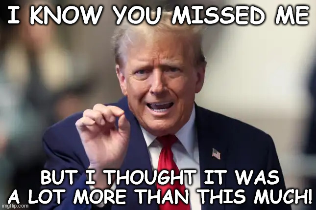 Miss Me Trump | I KNOW YOU MISSED ME; BUT I THOUGHT IT WAS A LOT MORE THAN THIS MUCH! | image tagged in trump assassination attempt,2024 election,trump shot,miss trump,butler pa rally,shot heard round the world | made w/ Imgflip meme maker
