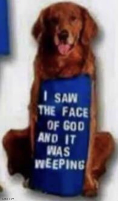 shitpost | made w/ Imgflip meme maker