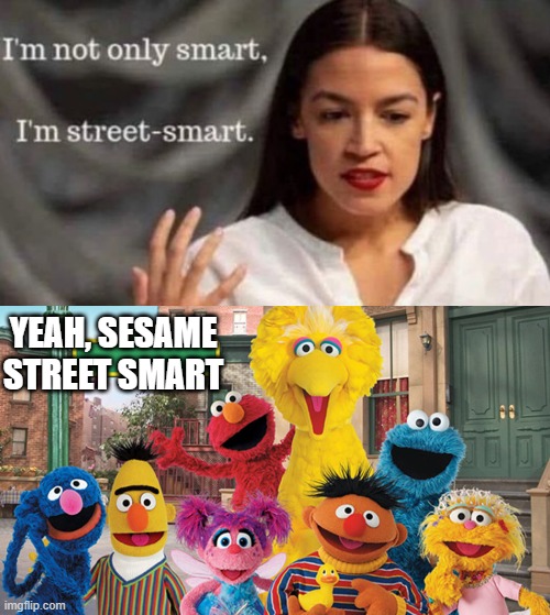 Smart AOC | YEAH, SESAME STREET SMART | image tagged in sesame street blank sign | made w/ Imgflip meme maker