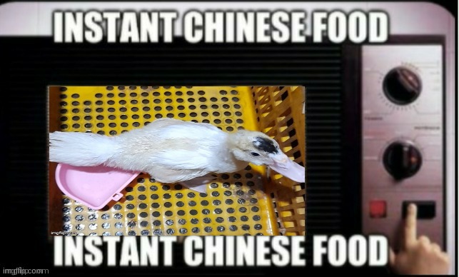 Instant chinese food | image tagged in instant chinese food | made w/ Imgflip meme maker