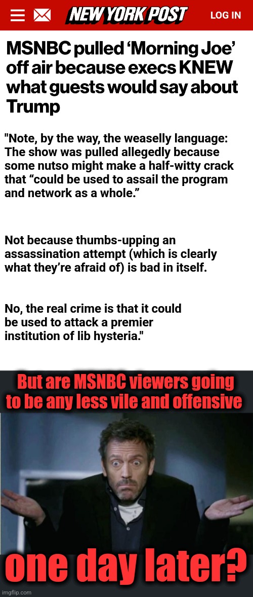 One day later? | "Note, by the way, the weaselly language:
The show was pulled allegedly because
some nutso might make a half-witty crack
that “could be used to assail the program
and network as a whole.”; Not because thumbs-upping an
assassination attempt (which is clearly
what they’re afraid of) is bad in itself. No, the real crime is that it could
be used to attack a premier
institution of lib hysteria."; But are MSNBC viewers going to be any less vile and offensive; one day later? | image tagged in shrug,memes,msnbc,morning joe,democrats,trump assassination attempt | made w/ Imgflip meme maker