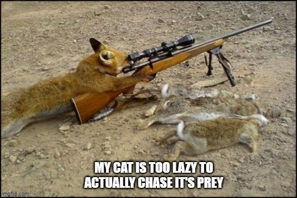 memes by Brad - My cat is too lazy to actually chase her prey | image tagged in funny,sports,cats,hunting,funny cat memes,humor | made w/ Imgflip meme maker