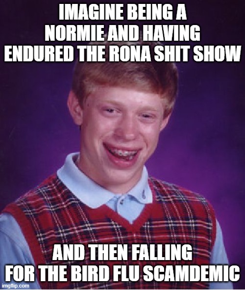 falling for the next plandemic | IMAGINE BEING A NORMIE AND HAVING ENDURED THE RONA SHIT SHOW; AND THEN FALLING FOR THE BIRD FLU SCAMDEMIC | image tagged in memes,bad luck brian,plandemic,scamdemic,corona,bird flu | made w/ Imgflip meme maker