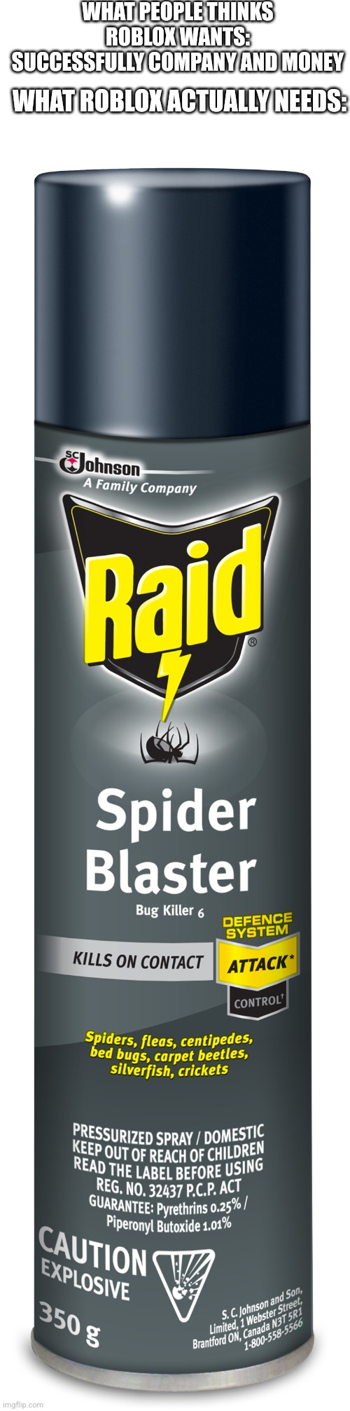 If you get it, you get it | WHAT PEOPLE THINKS ROBLOX WANTS: SUCCESSFULLY COMPANY AND MONEY; WHAT ROBLOX ACTUALLY NEEDS: | image tagged in raid spider blaster killer insecticide spray,roblox meme | made w/ Imgflip meme maker