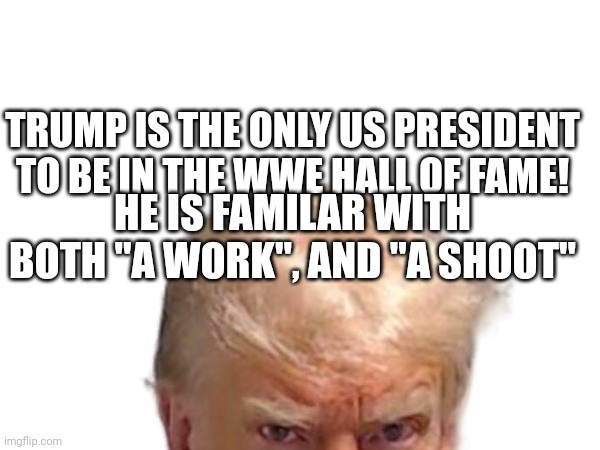 Too soon? | TRUMP IS THE ONLY US PRESIDENT TO BE IN THE WWE HALL OF FAME! HE IS FAMILAR WITH BOTH "A WORK", AND "A SHOOT" | made w/ Imgflip meme maker