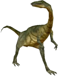 High Quality Coelophysis (FMM UV-32) Blank Meme Template