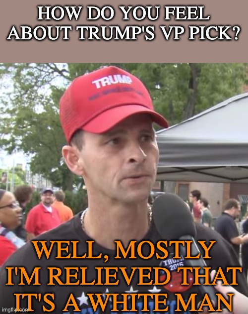 the MAGA agender in action | HOW DO YOU FEEL ABOUT TRUMP'S VP PICK? WELL, MOSTLY I'M RELIEVED THAT IT'S A WHITE MAN | image tagged in trump supporter,gender,elections,maga,vice president | made w/ Imgflip meme maker