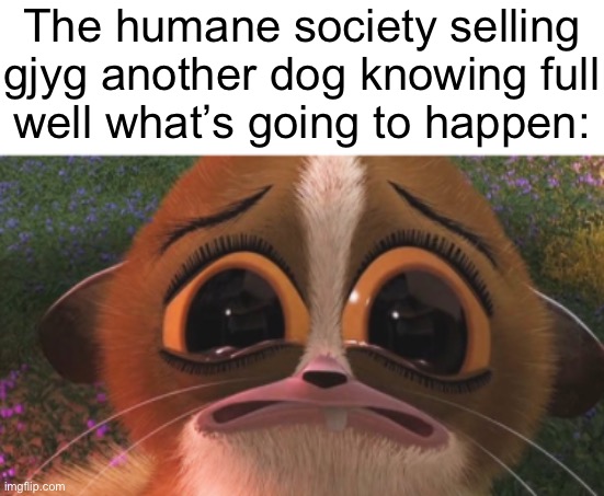 crying mort | The humane society selling
gjyg another dog knowing full
well what’s going to happen: | image tagged in crying mort | made w/ Imgflip meme maker