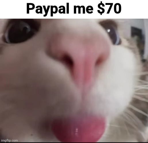 Paypal me $70 | made w/ Imgflip meme maker