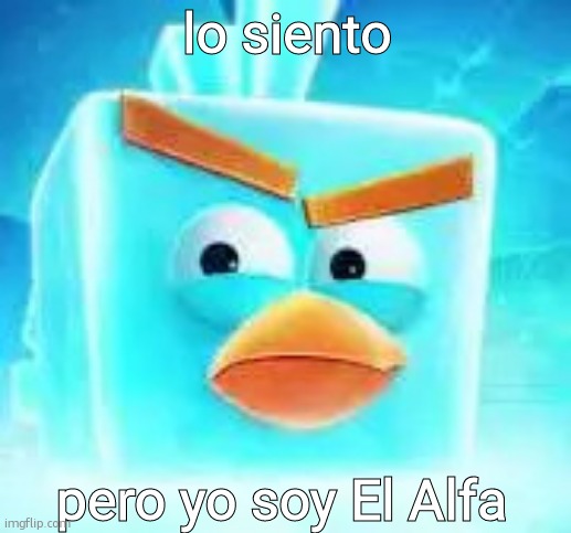 el Sigma | lo siento; pero yo soy El Alfa | image tagged in ice bird | made w/ Imgflip meme maker