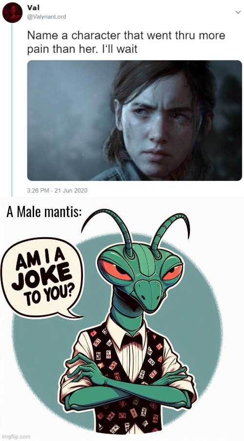 The female rip the males head off. That's why. | A Male mantis: | image tagged in bugs,praying mantis,memes,cartoon,are you serious,funny | made w/ Imgflip meme maker