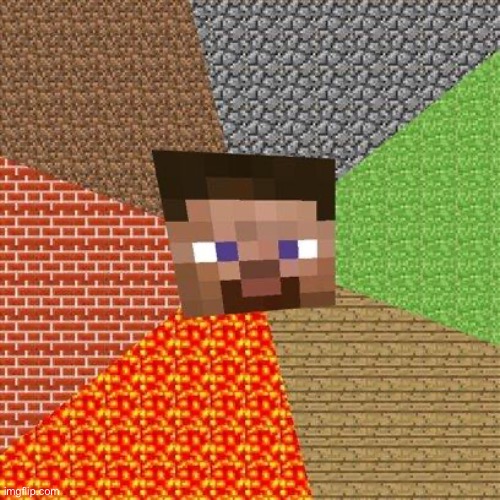 Minecraft Steve | image tagged in minecraft steve | made w/ Imgflip meme maker