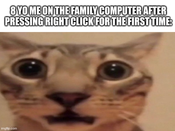 mind blosting | 8 YO ME ON THE FAMILY COMPUTER AFTER PRESSING RIGHT CLICK FOR THE FIRST TIME: | image tagged in memes,funny,fun,relatable,gifs,cats | made w/ Imgflip meme maker