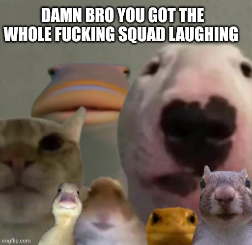 The council remastered | DAMN BRO YOU GOT THE WHOLE FUCKING SQUAD LAUGHING | image tagged in the council remastered | made w/ Imgflip meme maker