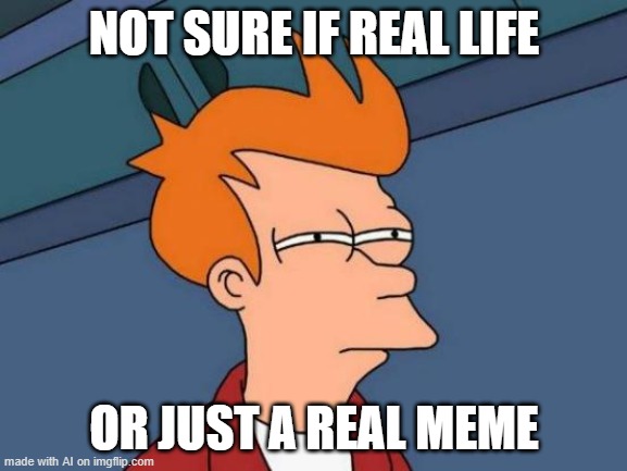 Futurama Fry | NOT SURE IF REAL LIFE; OR JUST A REAL MEME | image tagged in memes,futurama fry | made w/ Imgflip meme maker