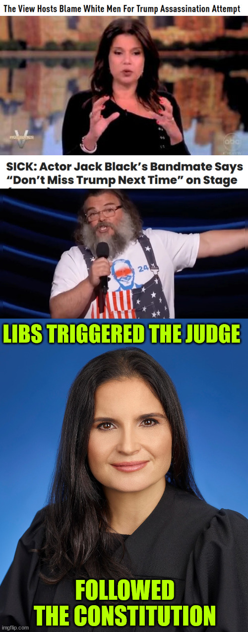 All this is disgusting | LIBS TRIGGERED THE JUDGE; FOLLOWED THE CONSTITUTION | image tagged in blame the media,for the vile leftist hate,disgusting | made w/ Imgflip meme maker