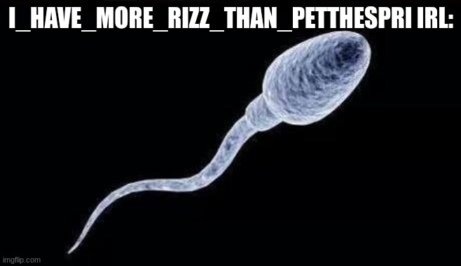 da sperm | I_HAVE_MORE_RIZZ_THAN_PETTHESPRI IRL: | image tagged in da sperm | made w/ Imgflip meme maker