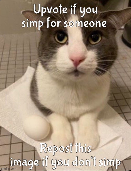 Upvote if you simp for someone; Repost this image if you don't simp | made w/ Imgflip meme maker