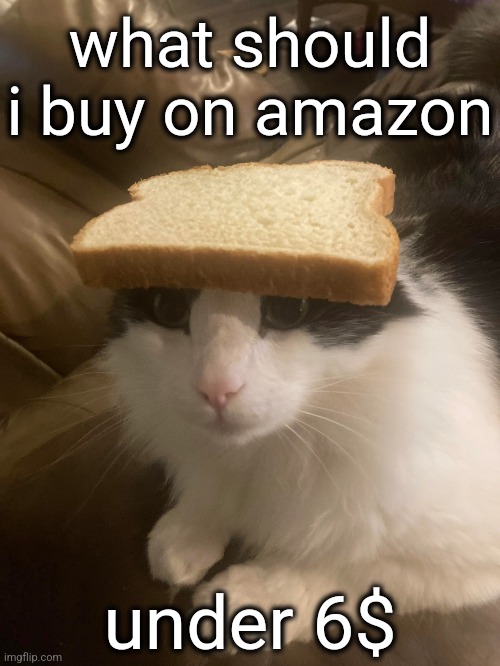 bread cat | what should i buy on amazon; under 6$ | image tagged in bread cat | made w/ Imgflip meme maker