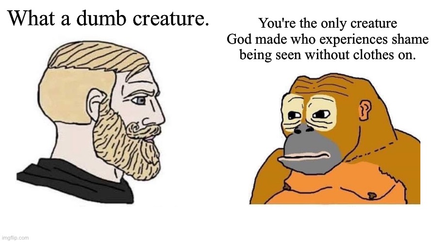 chad monke | You're the only creature God made who experiences shame being seen without clothes on. What a dumb creature. | image tagged in chad monke,nudist | made w/ Imgflip meme maker