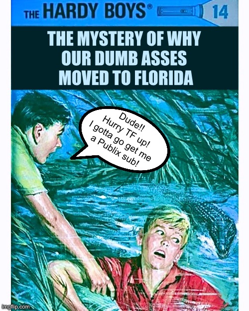 The Hardy Boys in Florida | THE MYSTERY OF WHY 
OUR DUMB ASSES 
MOVED TO FLORIDA; Dude!!
Hurry TF up!
I gotta go get me
a Publix sub! | image tagged in hardy boys,florida man,meanwhile in florida,florida,publix,book parody | made w/ Imgflip meme maker