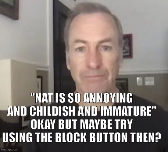 erm okay | "NAT IS SO ANNOYING AND CHILDISH AND IMMATURE"
OKAY BUT MAYBE TRY USING THE BLOCK BUTTON THEN? | image tagged in erm okay | made w/ Imgflip meme maker