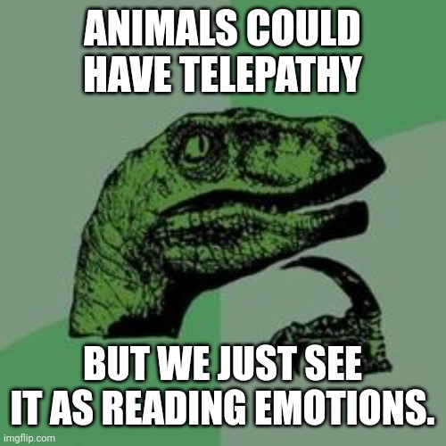 Maybe | ANIMALS COULD HAVE TELEPATHY; BUT WE JUST SEE IT AS READING EMOTIONS. | image tagged in time raptor | made w/ Imgflip meme maker