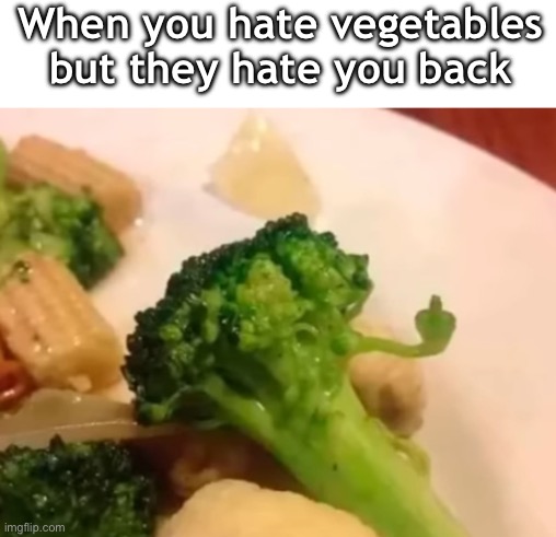 Vegetable hating | When you hate vegetables but they hate you back | image tagged in vegetables,hate | made w/ Imgflip meme maker