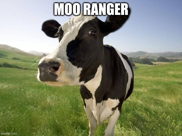 cow | MOO RANGER | image tagged in cow | made w/ Imgflip meme maker