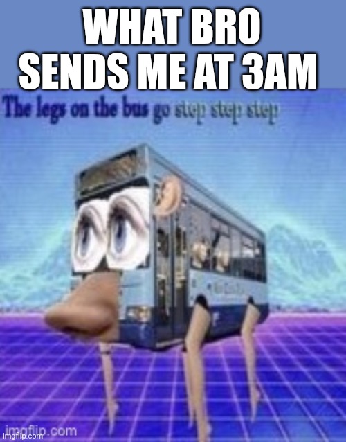 The legs on the bus | WHAT BRO SENDS ME AT 3AM | image tagged in the legs on the bus go step step | made w/ Imgflip meme maker