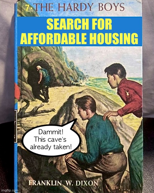 The Hardy Boys Search for Affordable Housing | SEARCH FOR 
AFFORDABLE HOUSING; Dammit!
This cave’s 
already taken! | image tagged in hardy boys,housing,economy,poor,broke,poor people | made w/ Imgflip meme maker