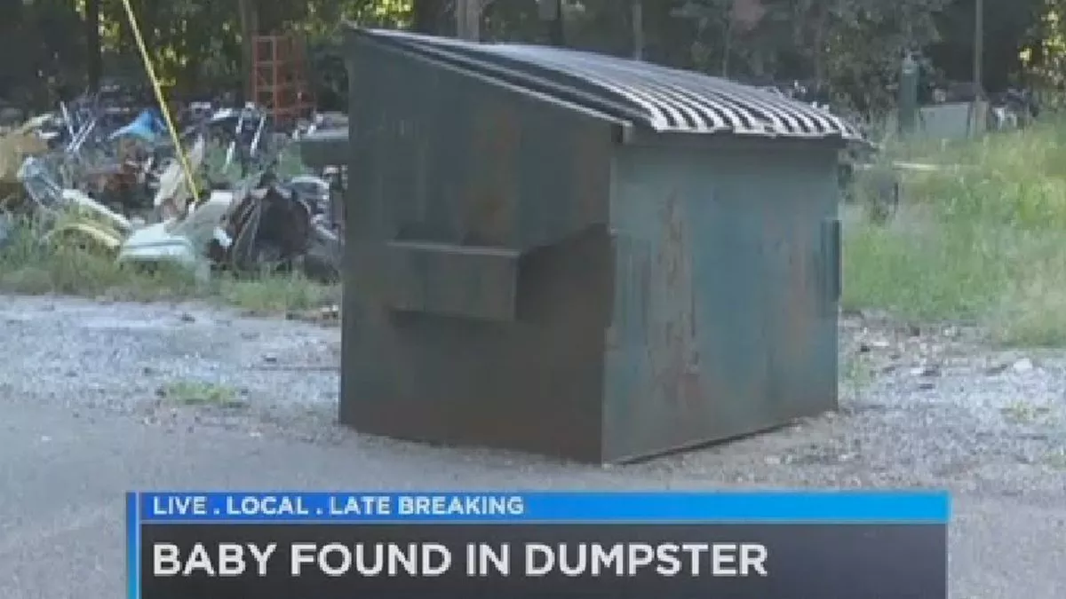 Baby in Dumpster News Blank Meme Template